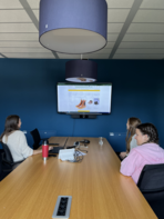 Vorstellung des Onlineshops