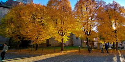 Fränkische Schweiz: Herbststimmung in Franken