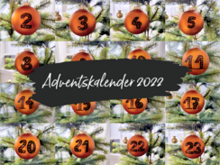 Adventskalender: Die finalen Türchen