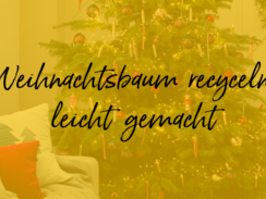 Weihnachtsbaum recyceln leicht gemacht