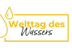 Den Wandel beschleunigen - Welttag des Wassers