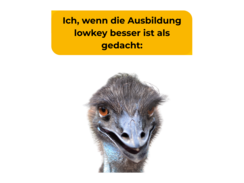 Dein 5-Minuten-Crashkurs in Jugendsprache!