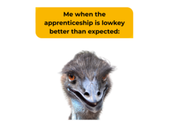 Your 5-minute crash course in youth language!