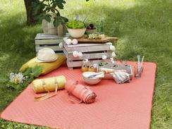 Die BAUR Studios in Zusammenarbeit mit WITT