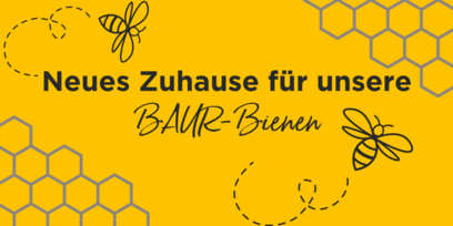 Neues Zuhause für unsere BAUR-Bienen