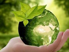 Zauberwort Nachhaltigkeit