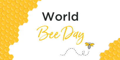 Happy World Bee Day! - Teil 2